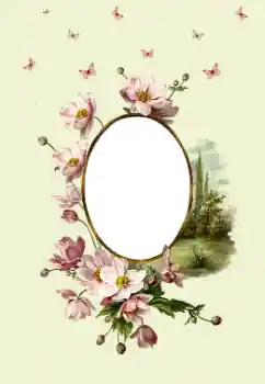 범주에서의 사진 효과 여성 프레임 № 180747