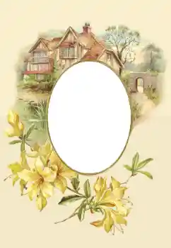 범주에서의 사진 효과 여성 프레임 № 180750