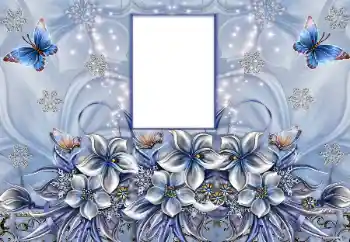 범주에서의 사진 효과 여성 프레임 № 180751