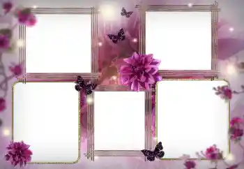 범주에서의 사진 효과 여성 프레임 № 180757