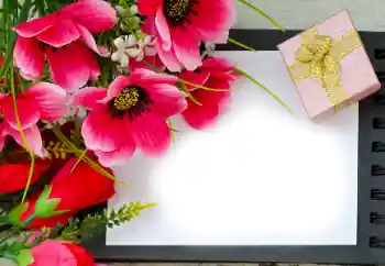 범주에서의 사진 효과 여성 프레임 № 180815