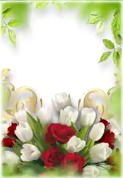 범주에서의 사진 효과 여성 프레임 № 180888 범주에서의 사진 효과 여성 프레임 № 180888