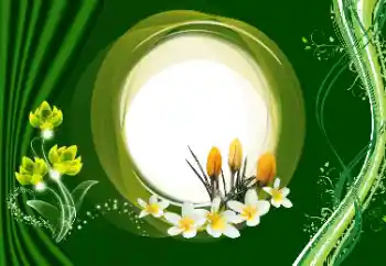 범주에서의 사진 효과 여성 프레임 № 180910 범주에서의 사진 효과 여성 프레임 № 180910