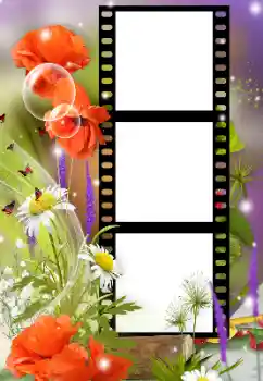 범주에서의 사진 효과 여성 프레임 № 180921 범주에서의 사진 효과 여성 프레임 № 180921