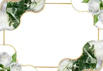 범주에서의 사진 효과 여성 프레임 № 18185