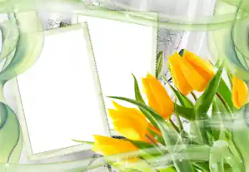 범주에서의 사진 효과 여성 프레임 № 181968 범주에서의 사진 효과 여성 프레임 № 181968