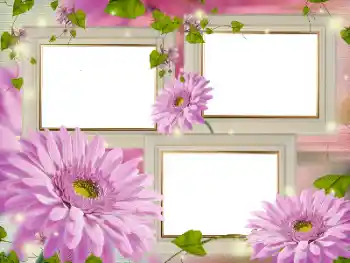 범주에서의 사진 효과 여성 프레임 № 181986 범주에서의 사진 효과 여성 프레임 № 181986