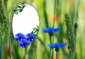 범주에서의 사진 효과 여성 프레임 № 181991 범주에서의 사진 효과 여성 프레임 № 181991