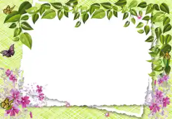 범주에서의 사진 효과 여성 프레임 № 18199