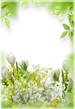 범주에서의 사진 효과 여성 프레임 № 182024 범주에서의 사진 효과 여성 프레임 № 182024