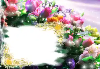 범주에서의 사진 효과 여성 프레임 № 182144 범주에서의 사진 효과 여성 프레임 № 182144