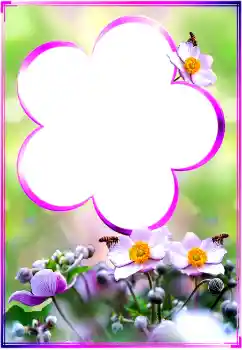 범주에서의 사진 효과 여성 프레임 № 183360 범주에서의 사진 효과 여성 프레임 № 183360