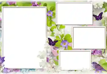 범주에서의 사진 효과 여성 프레임 № 183388 범주에서의 사진 효과 여성 프레임 № 183388