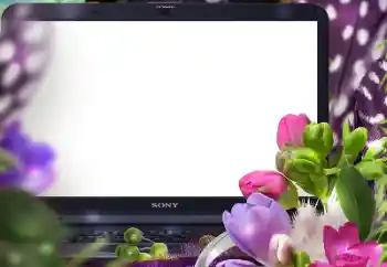 범주에서의 사진 효과 여성 프레임 № 183389 범주에서의 사진 효과 여성 프레임 № 183389