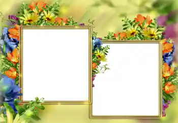 범주에서의 사진 효과 여성 프레임 № 184579 범주에서의 사진 효과 여성 프레임 № 184579