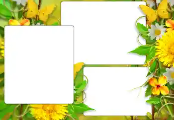 범주에서의 사진 효과 여성 프레임 № 184587 범주에서의 사진 효과 여성 프레임 № 184587