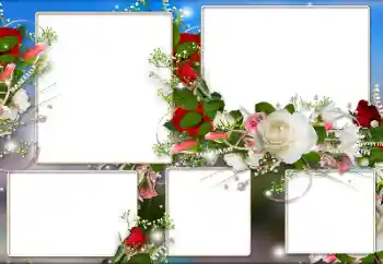 범주에서의 사진 효과 여성 프레임 № 184590 범주에서의 사진 효과 여성 프레임 № 184590