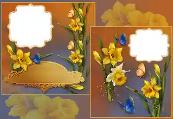 범주에서의 사진 효과 여성 프레임 № 185839 범주에서의 사진 효과 여성 프레임 № 185839