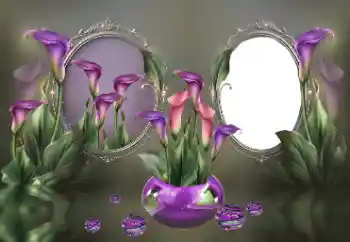 범주에서의 사진 효과 여성 프레임 № 185840 범주에서의 사진 효과 여성 프레임 № 185840