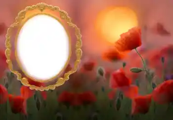 범주에서의 사진 효과 여성 프레임 № 185852 범주에서의 사진 효과 여성 프레임 № 185852