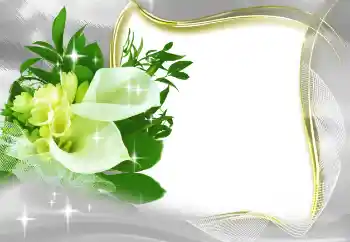 범주에서의 사진 효과 여성 프레임 № 185965 범주에서의 사진 효과 여성 프레임 № 185965