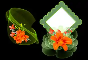 범주에서의 사진 효과 여성 프레임 № 185977 범주에서의 사진 효과 여성 프레임 № 185977