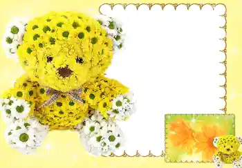 범주에서의 사진 효과 여성 프레임 № 185