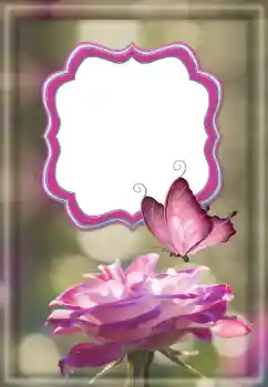 범주에서의 사진 효과 여성 프레임 № 187032 범주에서의 사진 효과 여성 프레임 № 187032