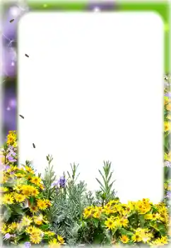 범주에서의 사진 효과 여성 프레임 № 187069 범주에서의 사진 효과 여성 프레임 № 187069