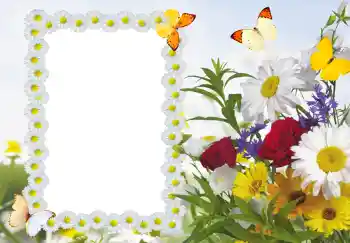 범주에서의 사진 효과 여성 프레임 № 187