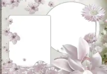 범주에서의 사진 효과 여성 프레임 № 188139 범주에서의 사진 효과 여성 프레임 № 188139