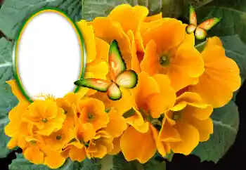 범주에서의 사진 효과 여성 프레임 № 189369 범주에서의 사진 효과 여성 프레임 № 189369