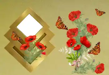 범주에서의 사진 효과 여성 프레임 № 189371 범주에서의 사진 효과 여성 프레임 № 189371