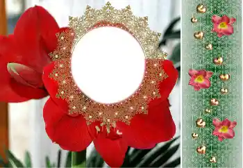 범주에서의 사진 효과 여성 프레임 № 190480 범주에서의 사진 효과 여성 프레임 № 190480