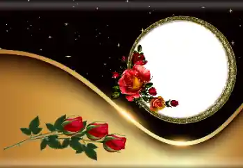 범주에서의 사진 효과 여성 프레임 № 190527 범주에서의 사진 효과 여성 프레임 № 190527