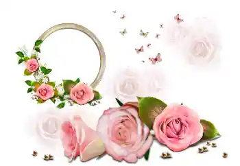 범주에서의 사진 효과 여성 프레임 № 190616 범주에서의 사진 효과 여성 프레임 № 190616