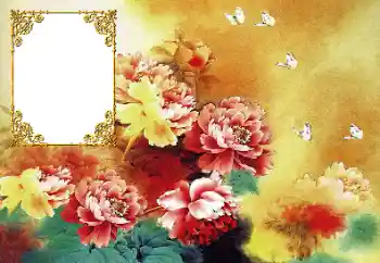 범주에서의 사진 효과 여성 프레임 № 190617 범주에서의 사진 효과 여성 프레임 № 190617