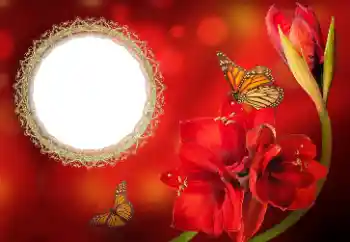 범주에서의 사진 효과 여성 프레임 № 191699 범주에서의 사진 효과 여성 프레임 № 191699