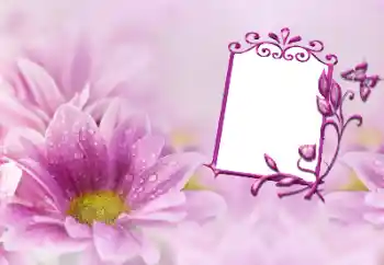 범주에서의 사진 효과 여성 프레임 № 191747 범주에서의 사진 효과 여성 프레임 № 191747