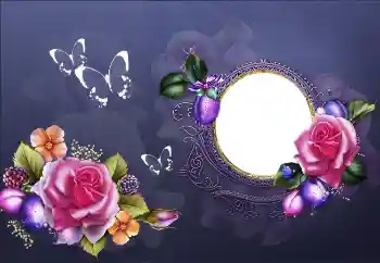 범주에서의 사진 효과 여성 프레임 № 191796 범주에서의 사진 효과 여성 프레임 № 191796