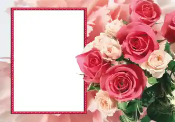 범주에서의 사진 효과 여성 프레임 № 191