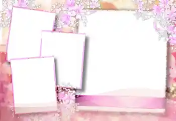 범주에서의 사진 효과 여성 프레임 № 19206