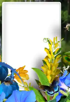 범주에서의 사진 효과 여성 프레임 № 192828 범주에서의 사진 효과 여성 프레임 № 192828