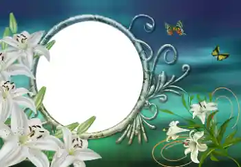 범주에서의 사진 효과 여성 프레임 № 192920 범주에서의 사진 효과 여성 프레임 № 192920