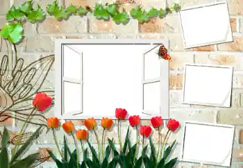 범주에서의 사진 효과 여성 프레임 № 194188 범주에서의 사진 효과 여성 프레임 № 194188