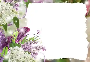 범주에서의 사진 효과 여성 프레임 № 194234 범주에서의 사진 효과 여성 프레임 № 194234