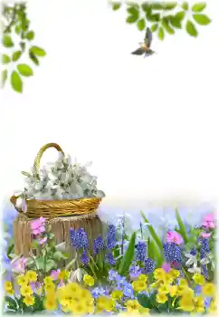 범주에서의 사진 효과 여성 프레임 № 195329 범주에서의 사진 효과 여성 프레임 № 195329