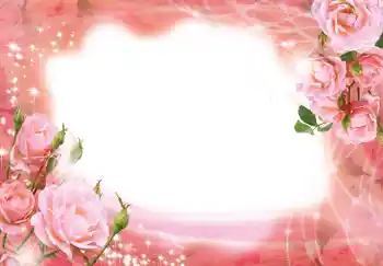 범주에서의 사진 효과 여성 프레임 № 195