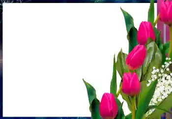 범주에서의 사진 효과 여성 프레임 № 196425 범주에서의 사진 효과 여성 프레임 № 196425