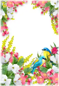 범주에서의 사진 효과 여성 프레임 № 196504 범주에서의 사진 효과 여성 프레임 № 196504